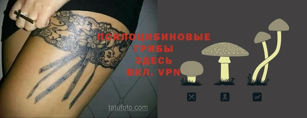 первитин Алексин