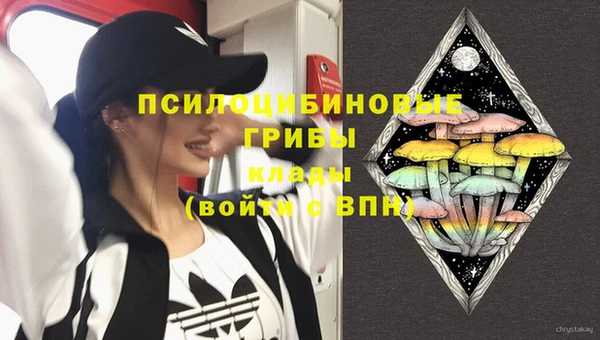 прущие грибы Алексеевка