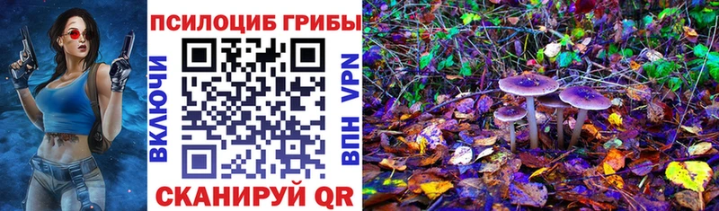Псилоцибиновые грибы Magic Shrooms Рошаль